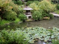 19.10.2002, Tokyo und Kyoto,