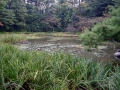 19.10.2002, Tokyo und Kyoto,