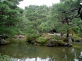 19.10.2002, Tokyo und Kyoto,