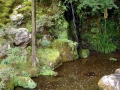 19.10.2002, Tokyo und Kyoto,