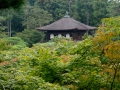 19.10.2002, Tokyo und Kyoto,