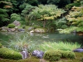19.10.2002, Tokyo und Kyoto,
