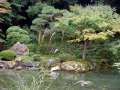 19.10.2002, Tokyo und Kyoto,
