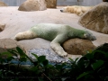 20.07.2003, Singapur,
