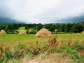 .., Irland,