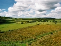 .., Irland,