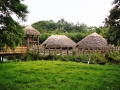 .., Irland,