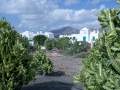 18.04.2006, Lanzarote,