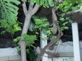 22.04.2006, Lanzarote,