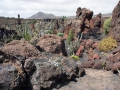 23.04.2006, Lanzarote,