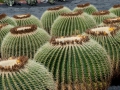 23.04.2006, Lanzarote,