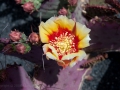 23.04.2006, Lanzarote,
