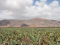 23.04.2006, Lanzarote,