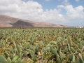 23.04.2006, Lanzarote,