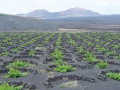 25.04.2006, Lanzarote,