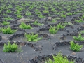 25.04.2006, Lanzarote,