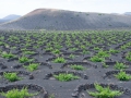 25.04.2006, Lanzarote,