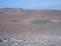 26.04.2006, Lanzarote,