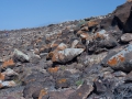 26.04.2006, Lanzarote,