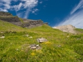 23.07.2007, Grindelwald Urlaub,