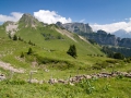27.07.2007, Grindelwald Urlaub,