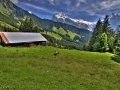31.07.2007, Grindelwald Urlaub,