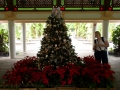 26.12.2007, Singapur,