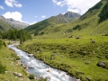 29.07.2008, Sonnenburg - Südtirol,