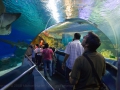 09.11.2008, Singapur und Kuala Lumpur,