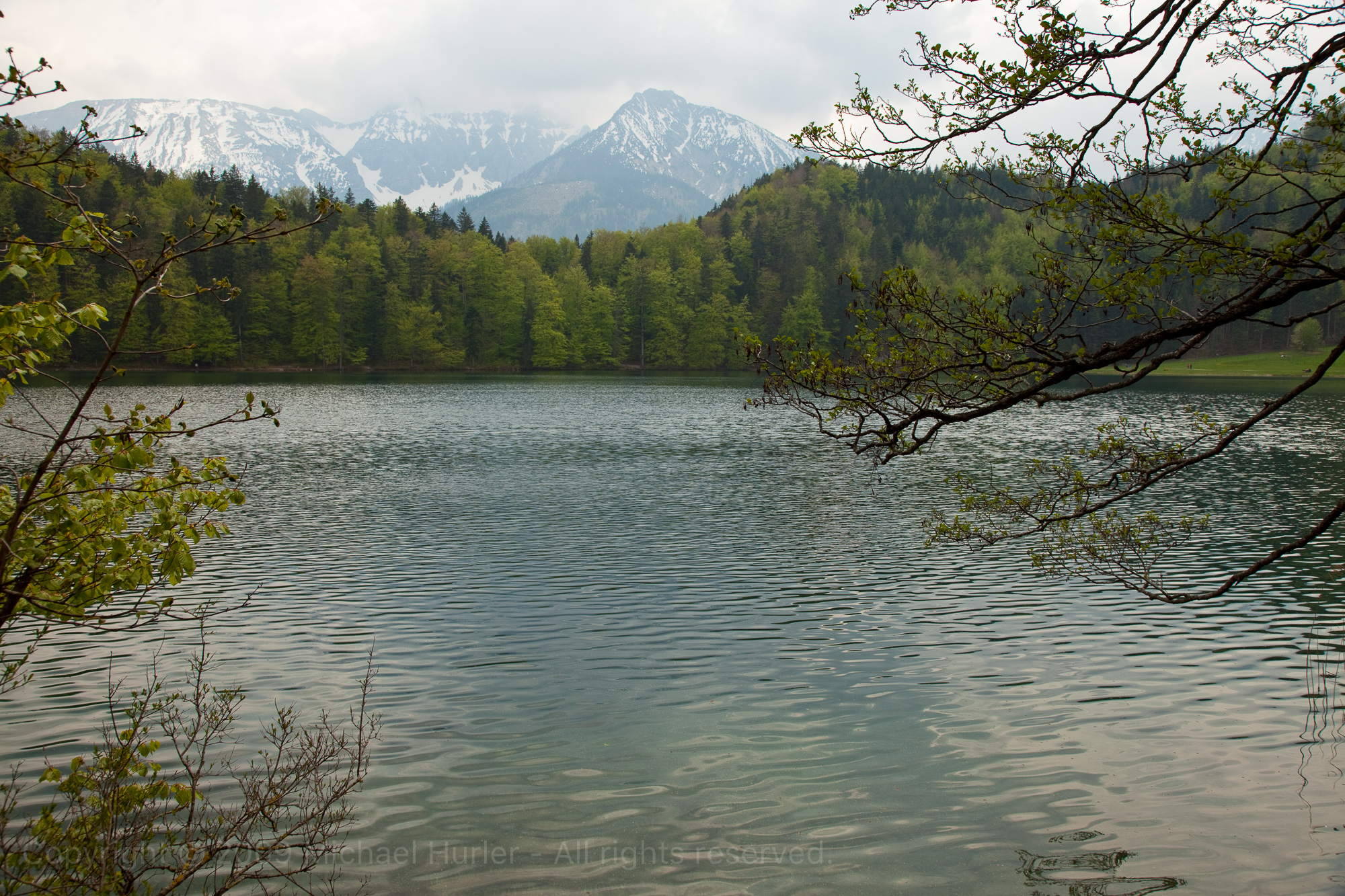 02.05.2009, Frühling im Allgäu, Alatsee bei Füssen