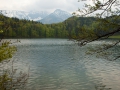 02.05.2009, Frühling im Allgäu, Alatsee bei Füssen