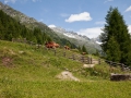 21.07.2009, Sonnenburg / Südtirol, Im Ahrntal