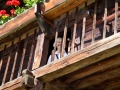 28.07.2009, Sonnenburg / Südtirol, Museum Dietenheim