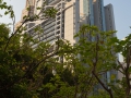 21.10.2011, Hongkong,