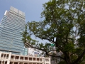 22.10.2011, Hongkong,