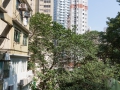 03.11.2012, Hongkong,
