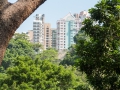 03.11.2012, Hongkong,