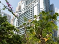 03.11.2012, Hongkong,