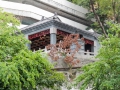 11.11.2012, Hongkong,