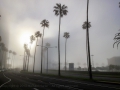 12.03.2013, Newport Beach,
