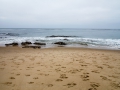16.03.2013, Newport Beach,