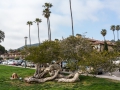 16.03.2013, Newport Beach,