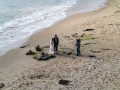16.03.2013, Newport Beach,