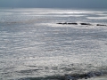 16.03.2013, Newport Beach,