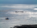 16.03.2013, Newport Beach,