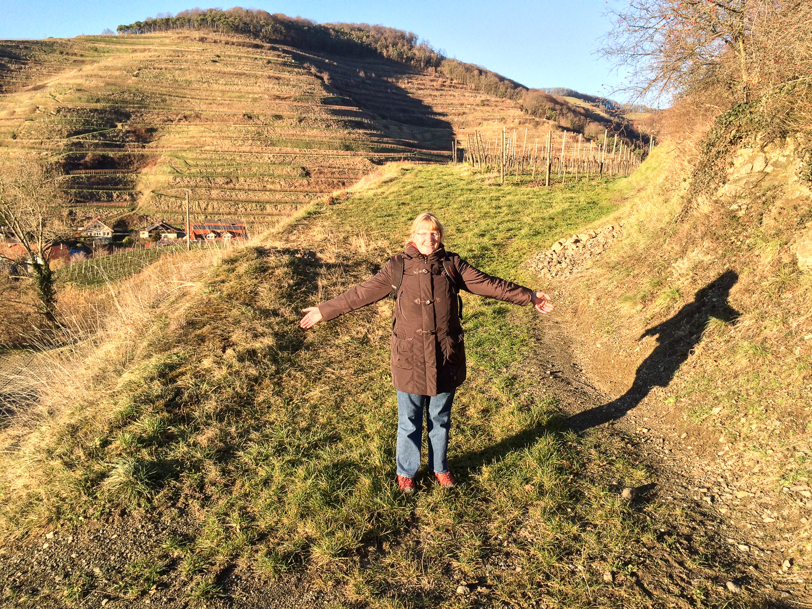 17.01.2014: Elsass