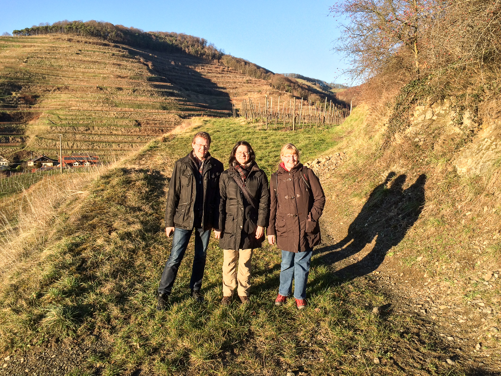 17.01.2014: Elsass