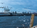 16.02.2014, Hamburg