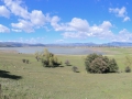 05.04.2014, San Diego: Am Lake Henshaw in San Diego County