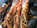 Taipei, Fishmarkt